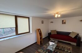 Casă D + P + M de 217 mp utili, teren 2.061 mp, Leamna de Jos