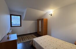 Casă D + P + M de 217 mp utili, teren 2.061 mp, Leamna de Jos