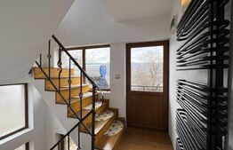 Casă D + P + M de 217 mp utili, teren 2.061 mp, Leamna de Jos