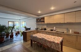 Casă D + P + M de 217 mp utili, teren 2.061 mp, Leamna de Jos