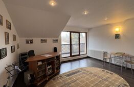 Casă D + P + M de 217 mp utili, teren 2.061 mp, Leamna de Jos