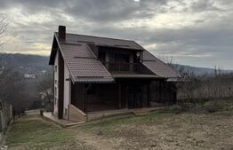 Casă D + P + M de 217 mp utili, teren 2.061 mp, Leamna de Jos