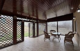 Casă D + P + M de 217 mp utili, teren 2.061 mp, Leamna de Jos