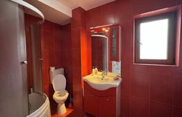 Casă D + P + M de 217 mp utili, teren 2.061 mp, Leamna de Jos