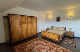 Casă D + P + M de 217 mp utili, teren 2.061 mp, Leamna de Jos