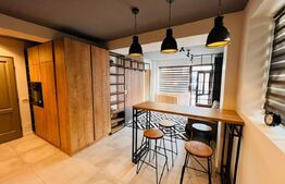 Apartament de 2 camere, INVESTITIE,  zona-George Enescu