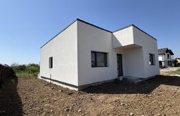 Casa parter, 115 mp construti, 435 mp teren, Carcea zona Primarie