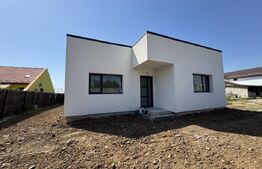Casa parter, 115 mp construti, 435 mp teren, Carcea zona Primarie