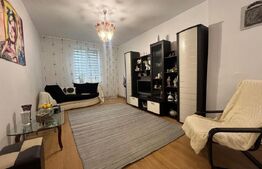 Apartament cu 2 camere, centrală termică, pet friendly, Calea București