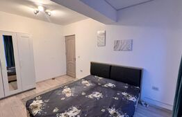Apartament 2 camere modern, centrala, AC, parcare, zona Amaradia/Pedagogic