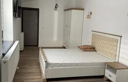 Garsonieră ultracentrala, 30 mp, zona Centru-Universitate