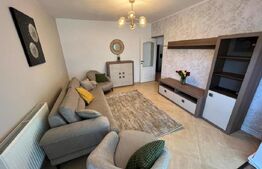 Apartament de 3 camere cu curte privata de 100mp 