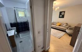 Apartament de 3 camere cu curte privata de 100mp 