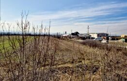 Teren intravilan 5300 mp, la DE 79, pretabil investitie in Bradesti