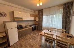 Apartament cu 2 camere, etaj 1, zona Puskin