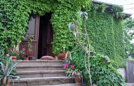 Casa boiereasca, 150 mp utili si 361 mp teren, 19.6 ml deschidere, zona Puskin