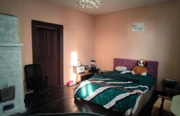 Casa boiereasca, 150 mp utili si 361 mp teren, 19.6 ml deschidere, zona Puskin