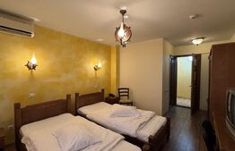 Pensiune cu 15 camere cu baie și balcon, restaurant, piscină, zona Beharca