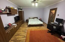 Garsoniera decomadata 39 mp, zona Scoala 23 