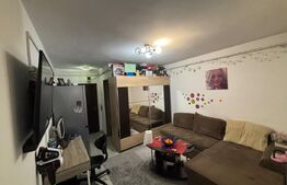 Garsoniera de vanzare, 21 mp, Valea Rosie, zona Liceul Stefan Odobleja