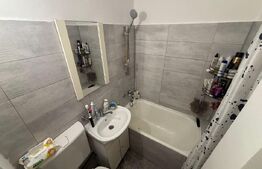 Garsoniera de vanzare, 21 mp, Valea Rosie, zona Liceul Stefan Odobleja