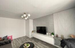 Apartament cu 3 camere decomandat, 72 mp, zona Lapus Arges