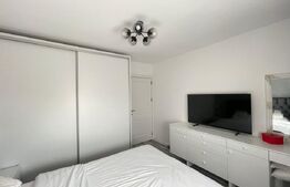 Apartament cu 3 camere decomandat, 72 mp, zona Lapus Arges