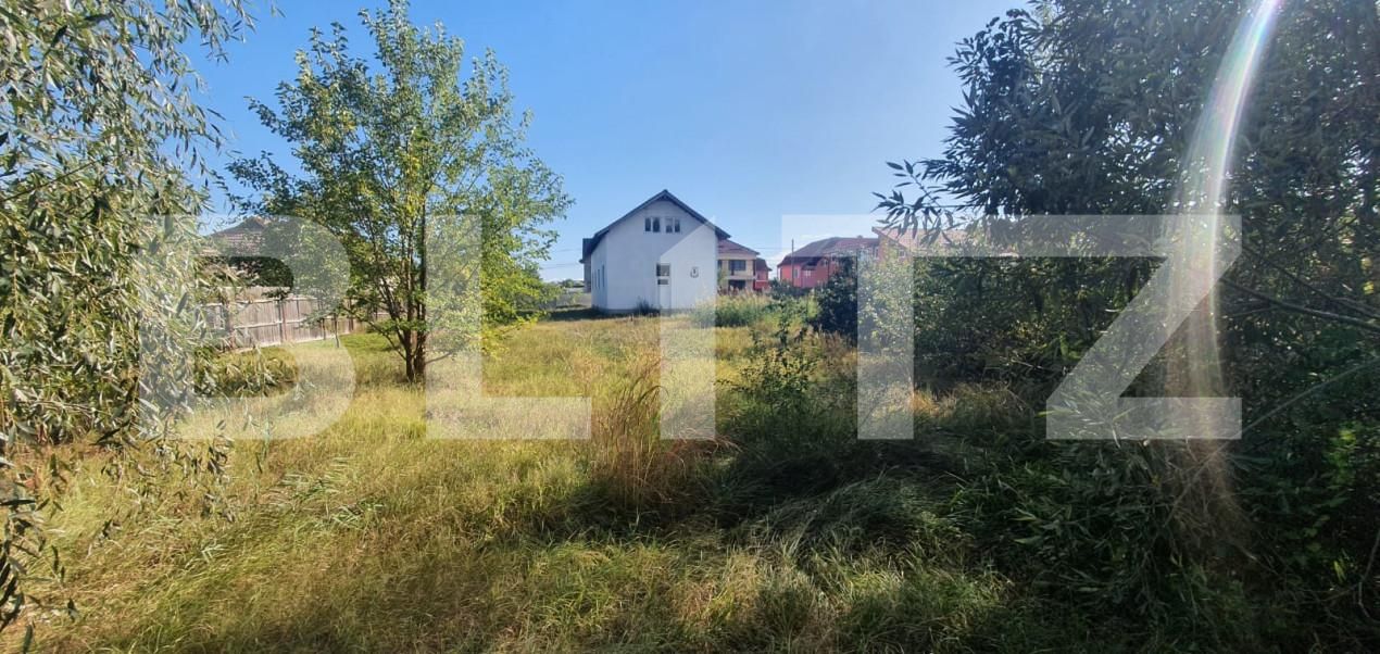 Casa de vânzare 3 camere Lascar Catargiu - 165455CV | BLITZ Craiova | Poza8