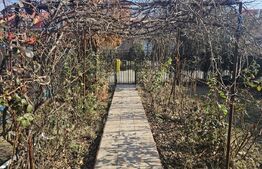 Casa P+M, 116,75 mp, 240 mp teren, toate utilitatile, zona Magnolia