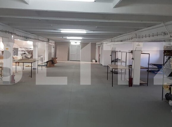 Spațiu industrial de închiriat Bariera Valcii - 165776SII | BLITZ Craiova | Poza4