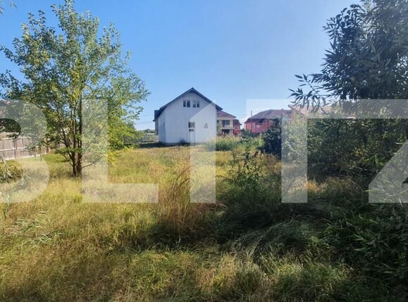 Casa de vânzare 3 camere Lascar Catargiu - 165788CV | BLITZ Craiova | Poza4