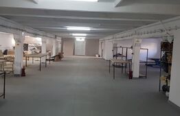 Hală industrială P + 1, 1.977 mp, teren 2.700 mp, Bariera Vâlcii