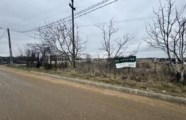 Teren intravilan pretabil industrial, 3600 mp, front 22,03 ml, Carcea