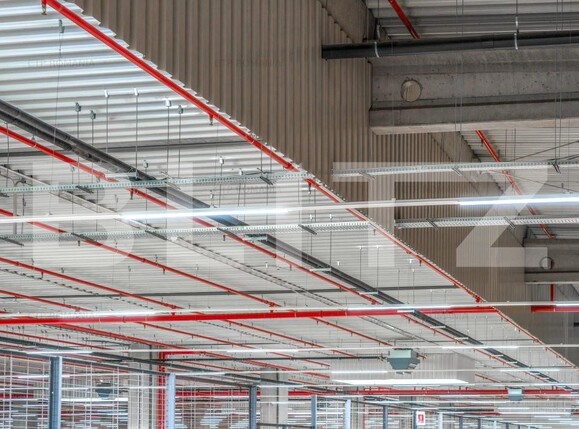 Spațiu industrial de închiriat Est - 165830SII | BLITZ Craiova | Poza4