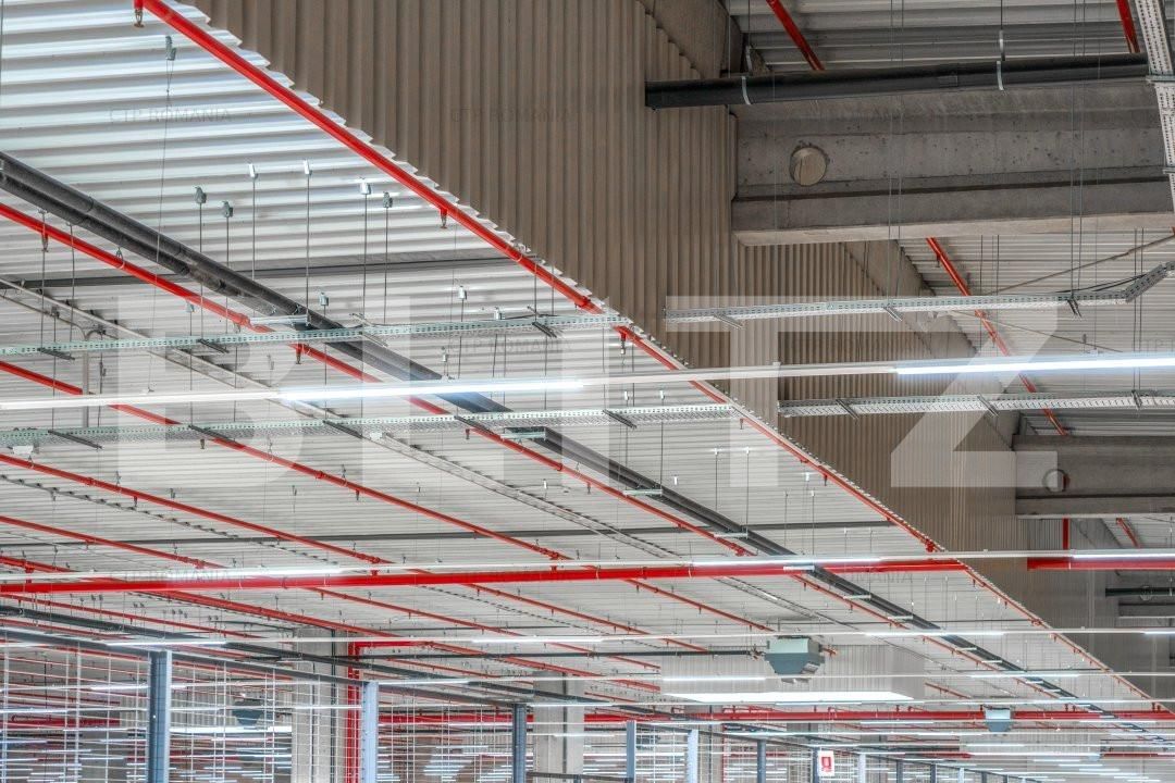 Spațiu industrial de închiriat Est - 165830SII | BLITZ Craiova | Poza4