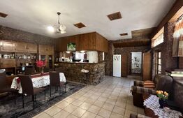 Popas La Doi Brazi - magazine, bar, terasă, casă boierească, grădină și piscină