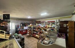 Popas La Doi Brazi - magazine, bar, terasă, casă boierească, grădină și piscină