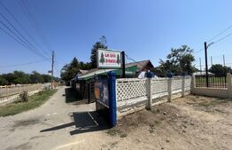 Popas La Doi Brazi - magazine, bar, terasă, casă boierească, grădină și piscină