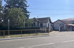 Popas La Doi Brazi - magazine, bar, terasă, casă boierească, grădină și piscină