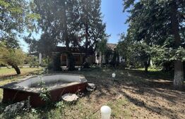 Popas La Doi Brazi - magazine, bar, terasă, casă boierească, grădină și piscină