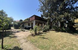 Popas La Doi Brazi - magazine, bar, terasă, casă boierească, grădină și piscină