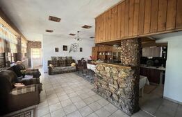 Popas La Doi Brazi - magazine, bar, terasă, casă boierească, grădină și piscină
