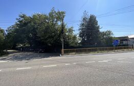 Popas La Doi Brazi - magazine, bar, terasă, casă boierească, grădină și piscină