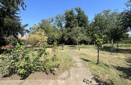 Popas La Doi Brazi - magazine, bar, terasă, casă boierească, grădină și piscină