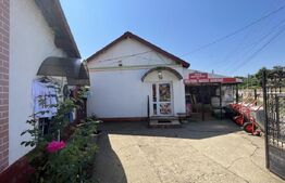 Popas La Doi Brazi - magazine, bar, terasă, casă boierească, grădină și piscină