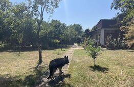 Popas La Doi Brazi - magazine, bar, terasă, casă boierească, grădină și piscină