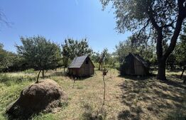 Popas La Doi Brazi - magazine, bar, terasă, casă boierească, grădină și piscină