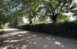 Popas La Doi Brazi - magazine, bar, terasă, casă boierească, grădină și piscină