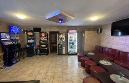 Popas La Doi Brazi - magazine, bar, terasă, casă boierească, grădină și piscină