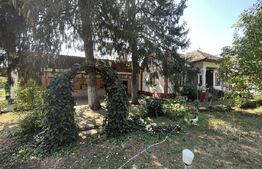 Popas La Doi Brazi - magazine, bar, terasă, casă boierească, grădină și piscină